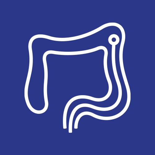 პროქტოლოგია